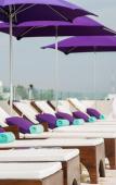Туры в отель The Palm at Playa Туры в отель The Palm at Playa