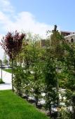 Туры в отель Qafqaz Karvansaray Hotel Gabala Туры в отель Qafqaz Karvansaray Hotel Gabala