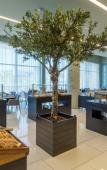 Туры в отель TRYP Lisboa Aeroporto Hotel Туры в отель TRYP Lisboa Aeroporto Hotel