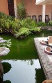 Туры в отель Villa Ranmenika Туры в отель Villa Ranmenika
