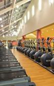 Туры в отель New York Hilton Midtown Туры в отель New York Hilton Midtown