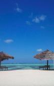 Туры в отель Nest Style Zanzibar Туры в отель Nest Style Zanzibar