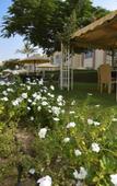 Туры в отель Coral Boutique Villas Туры в отель Coral Boutique Villas