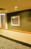 Туры в отель Omori Tokyu Inn Туры в отель Omori Tokyu Inn