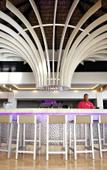 Туры в отель Royalton CHIC Punta Cana Resort & Spa Туры в отель Royalton CHIC Punta Cana Resort & Spa