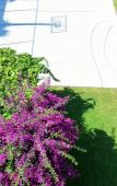 Туры в отель Blue Block Apartments Туры в отель Blue Block Apartments