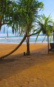 Туры в отель Whispering Palms Туры в отель Whispering Palms