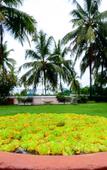 Туры в отель Emerald Palms Туры в отель Emerald Palms
