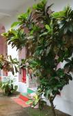Туры в отель Sailors' Inn Туры в отель Sailors' Inn