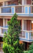 Туры в отель Cook`s Club Hersonissos Туры в отель Cook`s Club Hersonissos