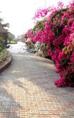Туры в отель Beira Mar Beach Resort Туры в отель Beira Mar Beach Resort