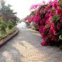 Туры в отель Beira Mar Beach Resort, оператор Anex Tour