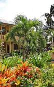 Туры в отель Hon Rom Sunlight Resort Туры в отель Hon Rom Sunlight Resort