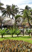 Туры в отель Hon Rom Sunlight Resort Туры в отель Hon Rom Sunlight Resort