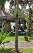 Туры в отель Hon Rom Sunlight Resort Туры в отель Hon Rom Sunlight Resort