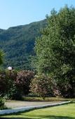 Туры в отель Corfu Dream Village Туры в отель Corfu Dream Village