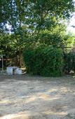 Туры в отель Corfu Dream Village Туры в отель Corfu Dream Village