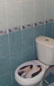 Туры в отель Аладан Туры в отель Аладан