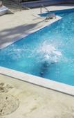 Туры в отель Miyuki Beach Туры в отель Miyuki Beach