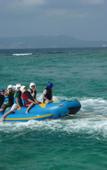 Туры в отель Miyuki Beach Туры в отель Miyuki Beach