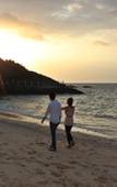 Туры в отель Miyuki Beach Туры в отель Miyuki Beach