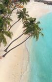 Туры в отель Kaani Village & Spa Guest House Туры в отель Kaani Village & Spa Guest House
