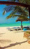 Туры в отель Waikiki Zanzibar Resort Туры в отель Waikiki Zanzibar Resort