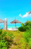 Туры в отель Waikiki Zanzibar Resort Туры в отель Waikiki Zanzibar Resort
