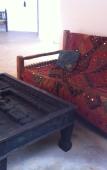 Туры в отель Casa Umoja Guesthouse Туры в отель Casa Umoja Guesthouse