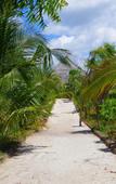 Туры в отель Mbuyuni Beach Village Туры в отель Mbuyuni Beach Village