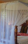 Туры в отель Mbuyuni Beach Village Туры в отель Mbuyuni Beach Village