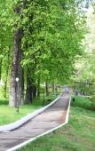 Туры в отель Сосновая Горка Туры в отель Сосновая Горка