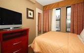 Туры в отель Comfort Inn Central Park West Туры в отель Comfort Inn Central Park West