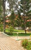 Туры в отель Sea Breeze Resort Туры в отель Sea Breeze Resort