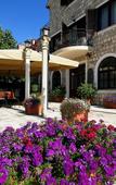Туры в отель Vila Panonija Туры в отель Vila Panonija