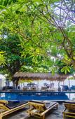 Туры в отель Rising Star Beach Resort Туры в отель Rising Star Beach Resort