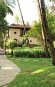 Туры в отель Coconut Creek Resort Туры в отель Coconut Creek Resort