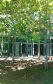 Туры в отель Albergue Centre Esplai Туры в отель Albergue Centre Esplai
