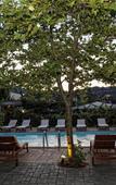 Туры в отель Niriides Beach Hotel Туры в отель Niriides Beach Hotel