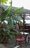 Туры в отель Niriides Beach Hotel Туры в отель Niriides Beach Hotel