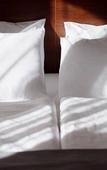 Туры в отель Monte Gudauri Hotel Туры в отель Monte Gudauri Hotel