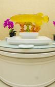 Туры в отель Panorama Hotel Kalutara Туры в отель Panorama Hotel Kalutara