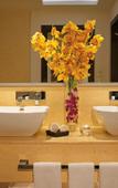 Туры в отель Secrets Playa Mujeres Golf & Spa Resort Туры в отель Secrets Playa Mujeres Golf & Spa Resort
