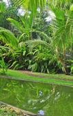 Туры в отель Villa Modarawattha Туры в отель Villa Modarawattha