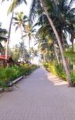 Туры в отель Majestic Beach Comforts Туры в отель Majestic Beach Comforts