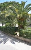 Туры в отель Koskinas Apartments Туры в отель Koskinas Apartments