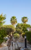 Туры в отель Louis St. Elias Resort Туры в отель Louis St. Elias Resort