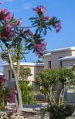Туры в отель Louis St. Elias Resort Туры в отель Louis St. Elias Resort