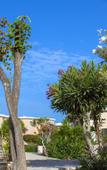 Туры в отель Louis St. Elias Resort Туры в отель Louis St. Elias Resort