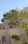 Туры в отель Louis St. Elias Resort Туры в отель Louis St. Elias Resort
